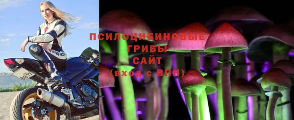 прущие грибы Балахна