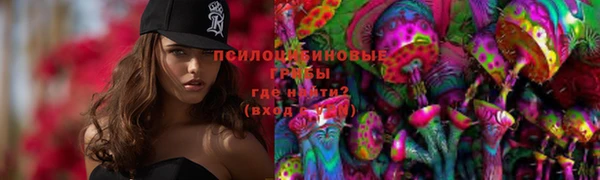 прущие грибы Балахна
