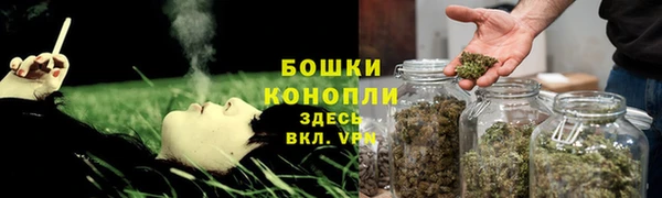 spice Аркадак