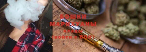 прущие грибы Балахна