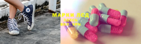 spice Аркадак