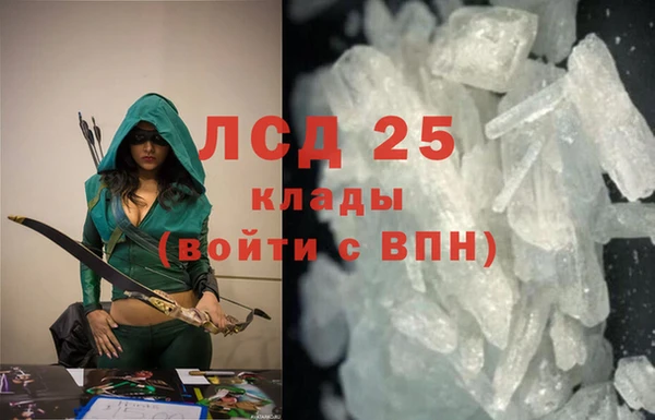 прущие грибы Балахна