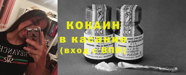 стаф Кущёвская