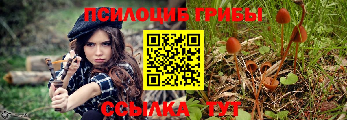 Псилоцибиновые грибы Psilocybine cubensis Белая Калитва
